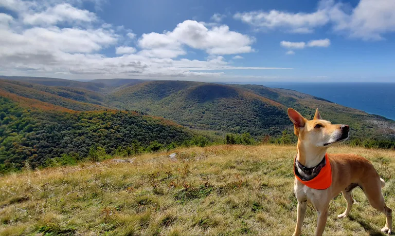 Mabou Highlands, Cape Breton