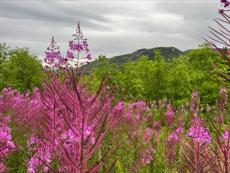 Trails of the Mabou Highlands